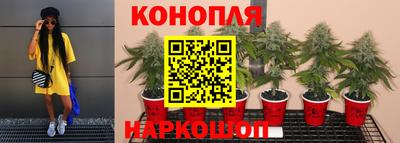трава Обь